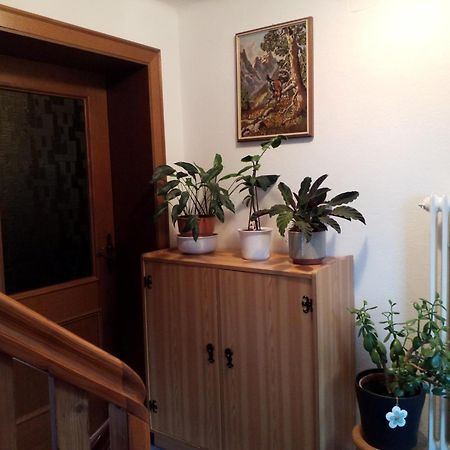 Apartamento Haus Hubertusheim Schladming Exterior foto